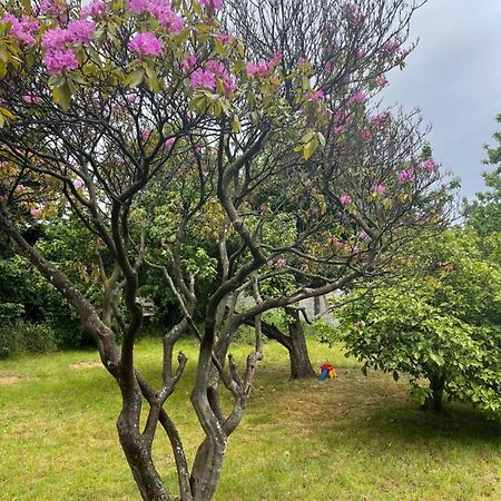 Hostal Das Hause Puerto Varas Εξωτερικό φωτογραφία